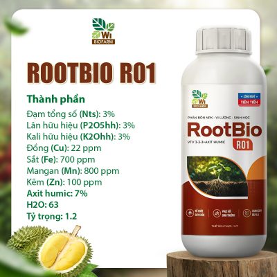 cà phê rụng trái non hàng loạt