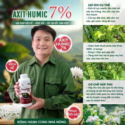 cà phê rụng trái non hàng loạt