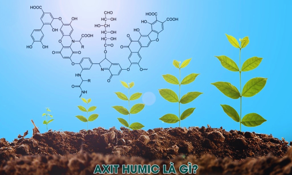 Tác dụng của humic đối với cây trồng