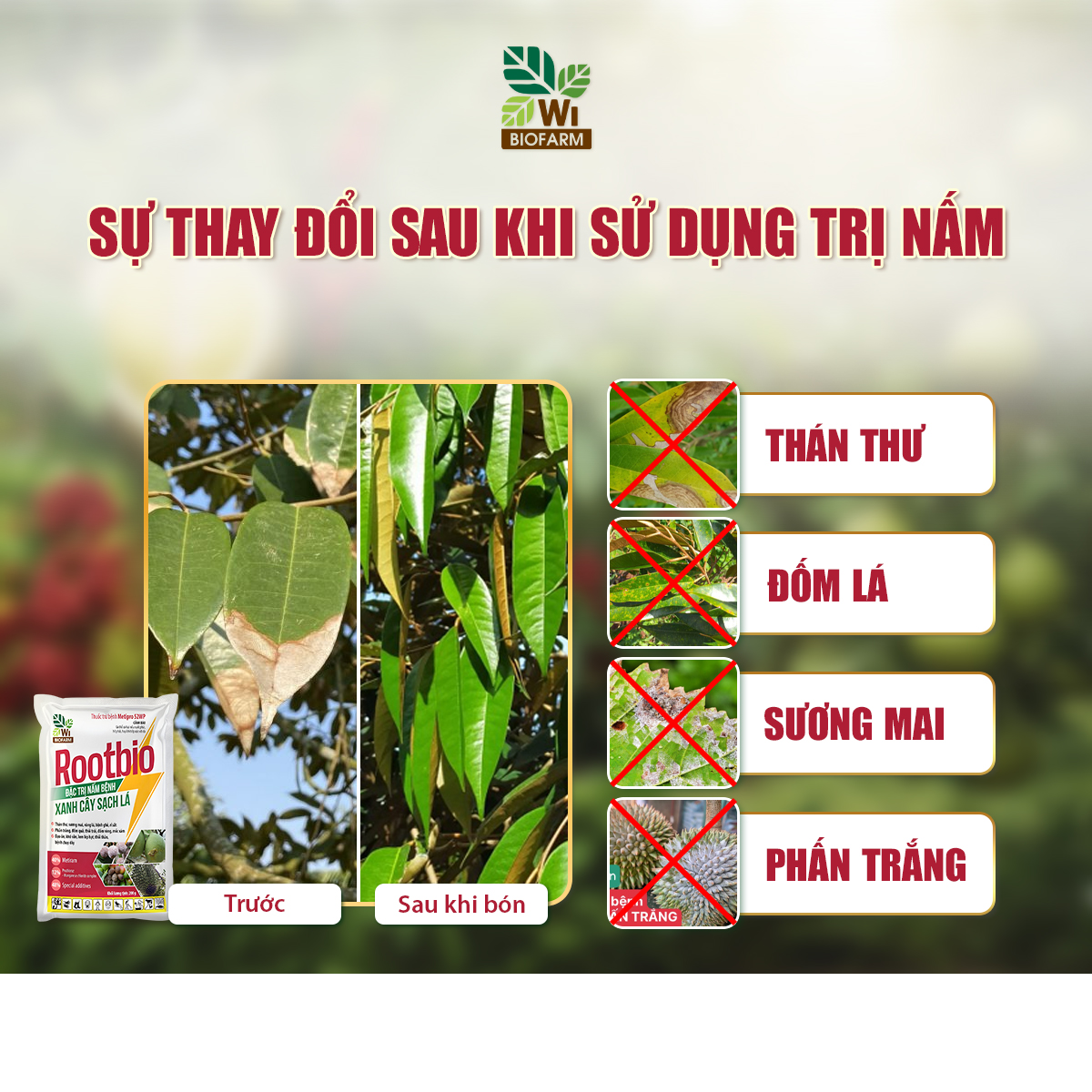 ROOTBIO Đặc Trị Nấm Bệnh - Ảnh 6