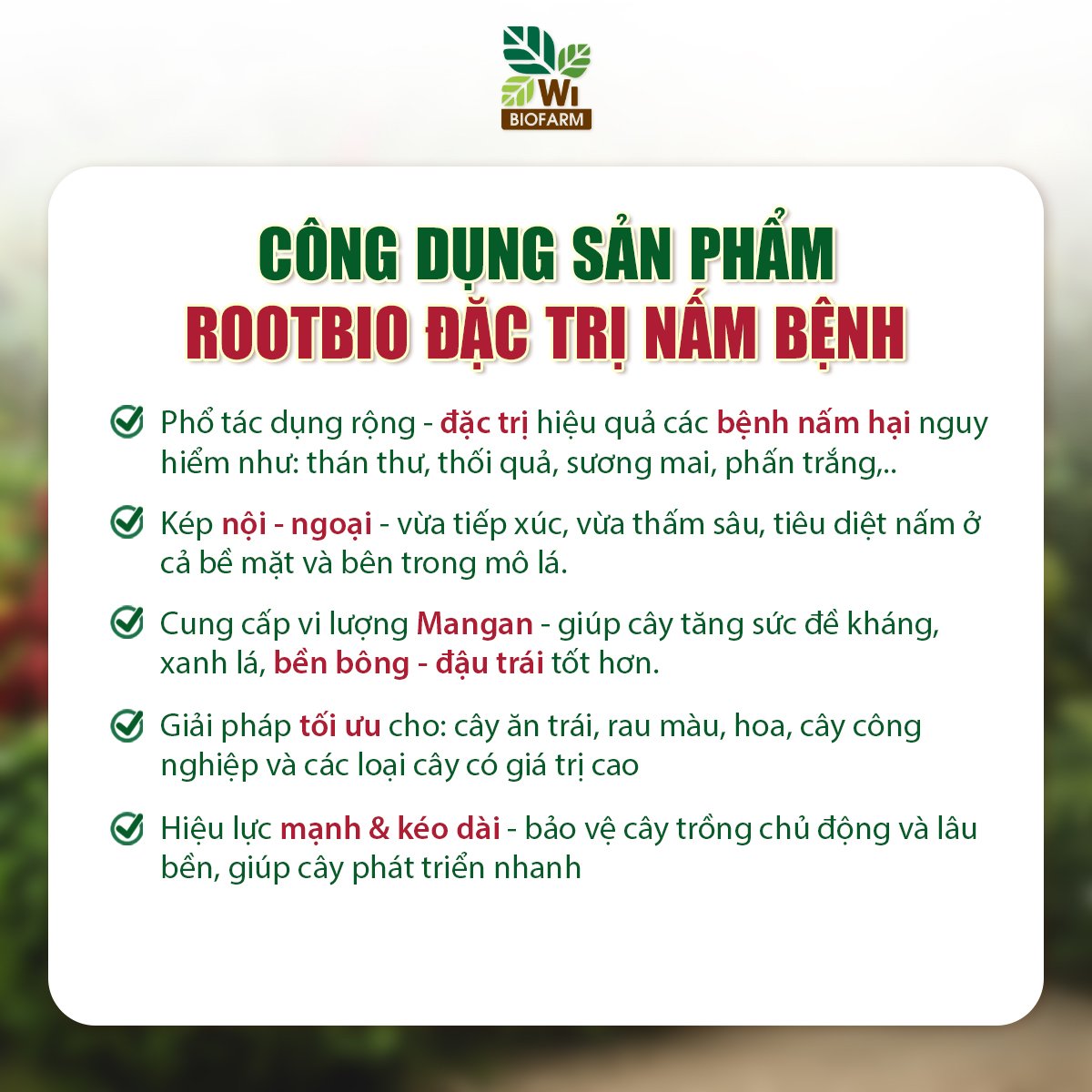 ROOTBIO Đặc Trị Nấm Bệnh - Ảnh 5