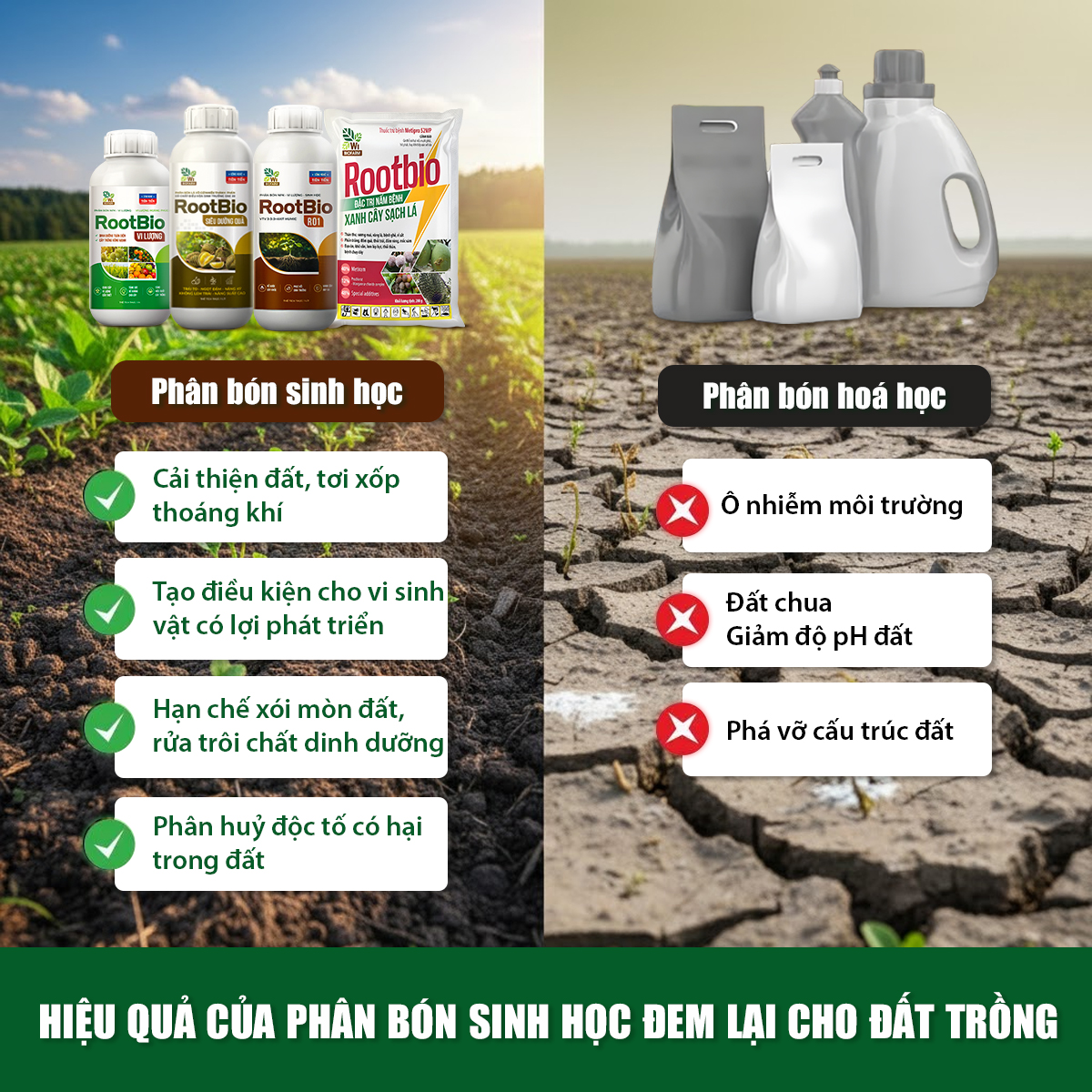 ROOTBIO Đặc Trị Nấm Bệnh - Ảnh 10