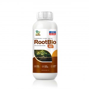 ROOTBIO R01