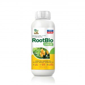 ROOTBIO Canxi Bo