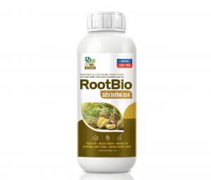 ROOTBIO Siêu dưỡng quả