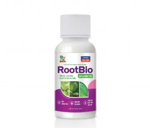 ROOTBIO Siêu loang trải